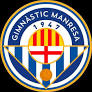 GIM